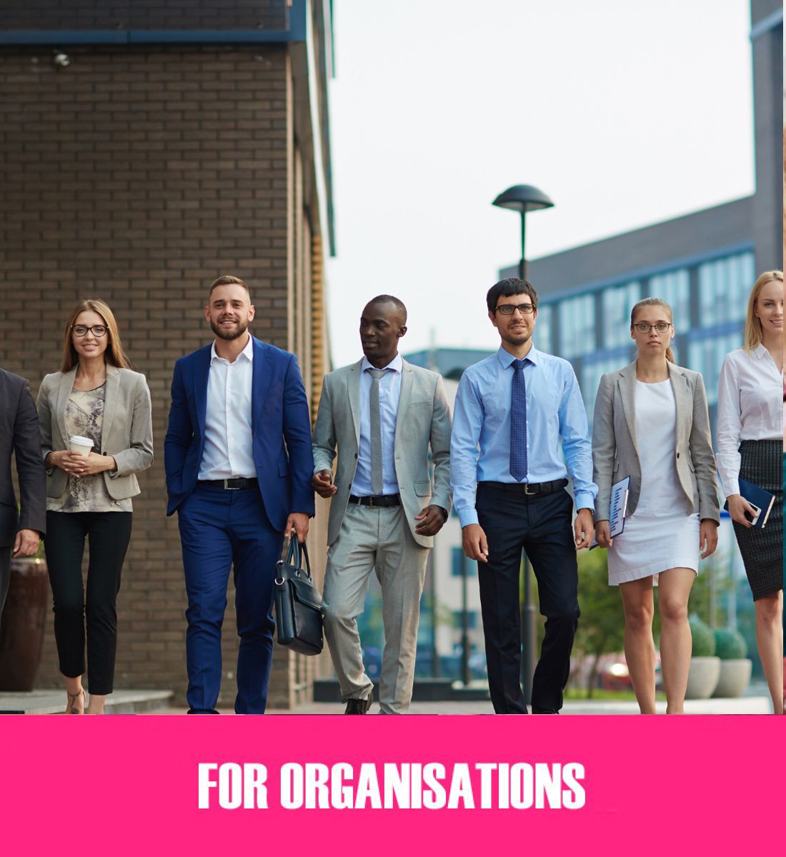 for-organisations60795ED1-1F09-066F-1828-28AA45A452F1.jpg